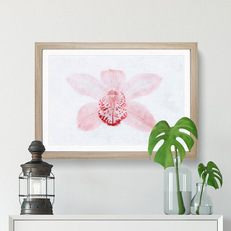 Light Pink Boat Orchid - Picture Frame Graphic Art Print, 45cm H x 63cm W x 2cm D, Oak Framed