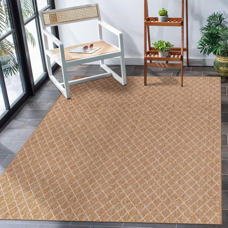 Non Slip Area Rugs Washable Carpet Pad Entryway Rug Weather Resistant Indoor and Outdoor Use 840306, Rectangle 160 x 230 cm