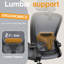 Chaise de bureau ergonomique Everdene-360877260-340222552