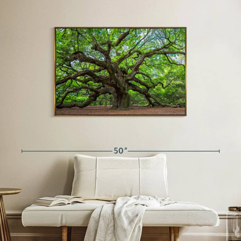 Vieux chêne, Cadre flottant doré, 40 po x 27 po