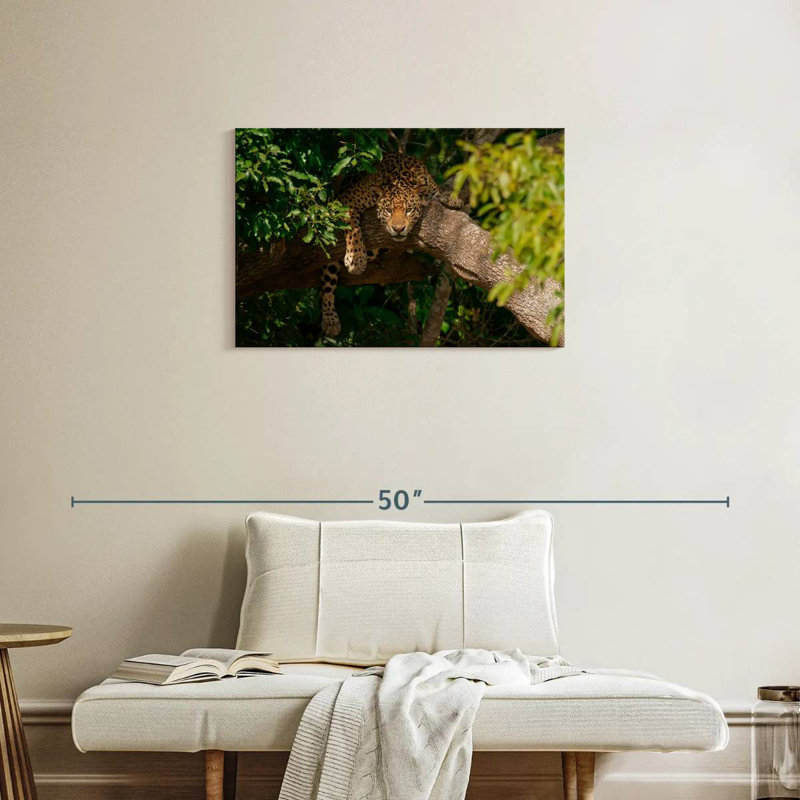 Jaguar Cozy Tree, H 20 po x l 30 po