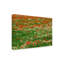 Coquelicots et champ de camomille par Cora Niele - photographie sur toile tendue-1302857230