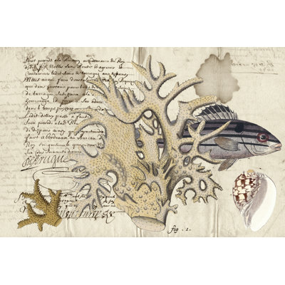 Sealife Journal IV - Wrapped Canvas Print
