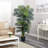  6.5ft. Golden Cane Palm Silk Tree