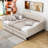 Chantavia Full Upholstered Daybed with 2 Drawers