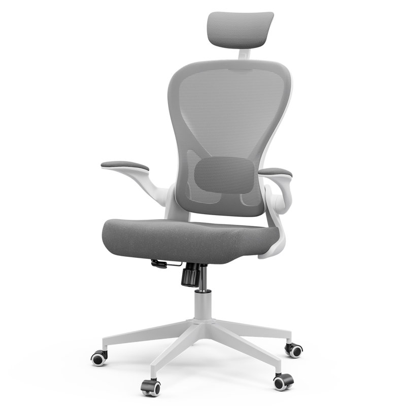 Chaise de bureau, chaise de travail Mauriyah, Gris, Blanc