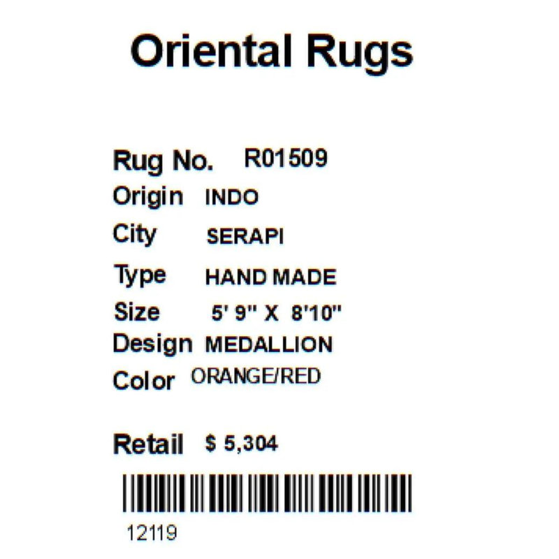 Oriental Area Rug in Orange