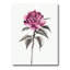 Fleur rose rétro - peinture sur toile-59724890-59778651