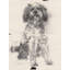 Man's Best 9 Print by Ngo, PC-257032200-257032203