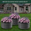 Outdoor Raised Garden Bed-238967944