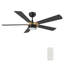  Ventilateur de plafond standard à 5 pales DEL avec ensemble d'éclairage inclus, télécommande