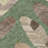 Machine Washable Indoor/Outdoor Chantille ACN2649 Botanical Rug-697883381-697883377