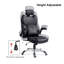 Chaise de bureau Spillertown