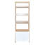 Augusten 180.5 cm H x 64 cm W Ladder Bookcase
