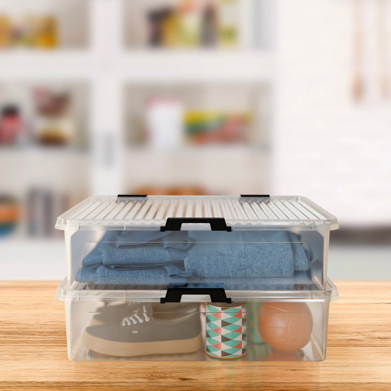 Rebrilliant Plastic Decorative Bin