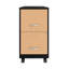 Classeur mobile profond 18 po Esean-1745349350