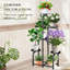Plant Stand - Set of 5