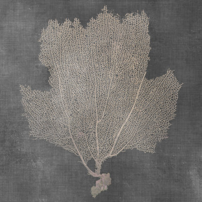 Éventail naturel 3