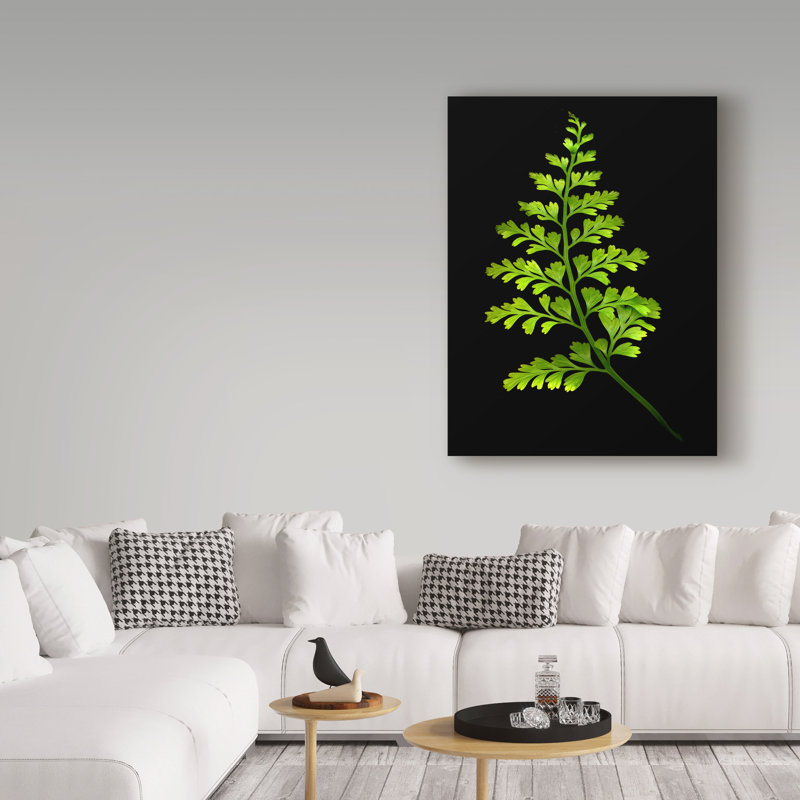 Dosta «Fern 4», impression sur toile tendue, H 19 po x l 14 po x P 2 po