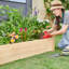Wooden Raised Garden Bed-852536875-851445206
