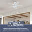 Ventilateur de plafond 42 po avec ensemble d'éclairage Viretta-2060632423
