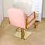 Fauteuil de coiffeur Beauty-107185490