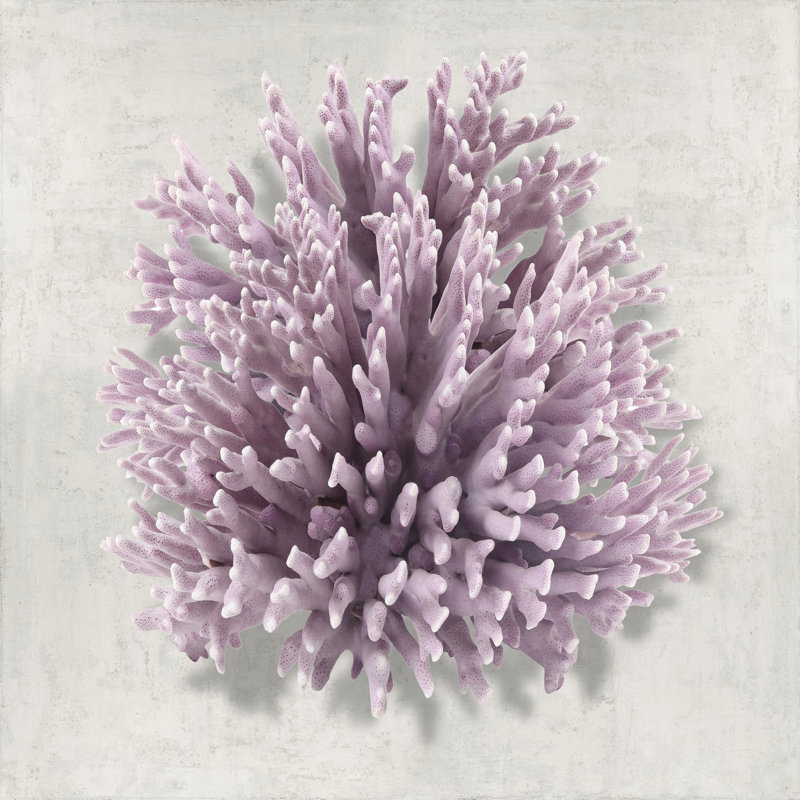 Coral Amethyst I by Caroline Kelly - Wrapped Canvas Print, 51cm H x 51cm W