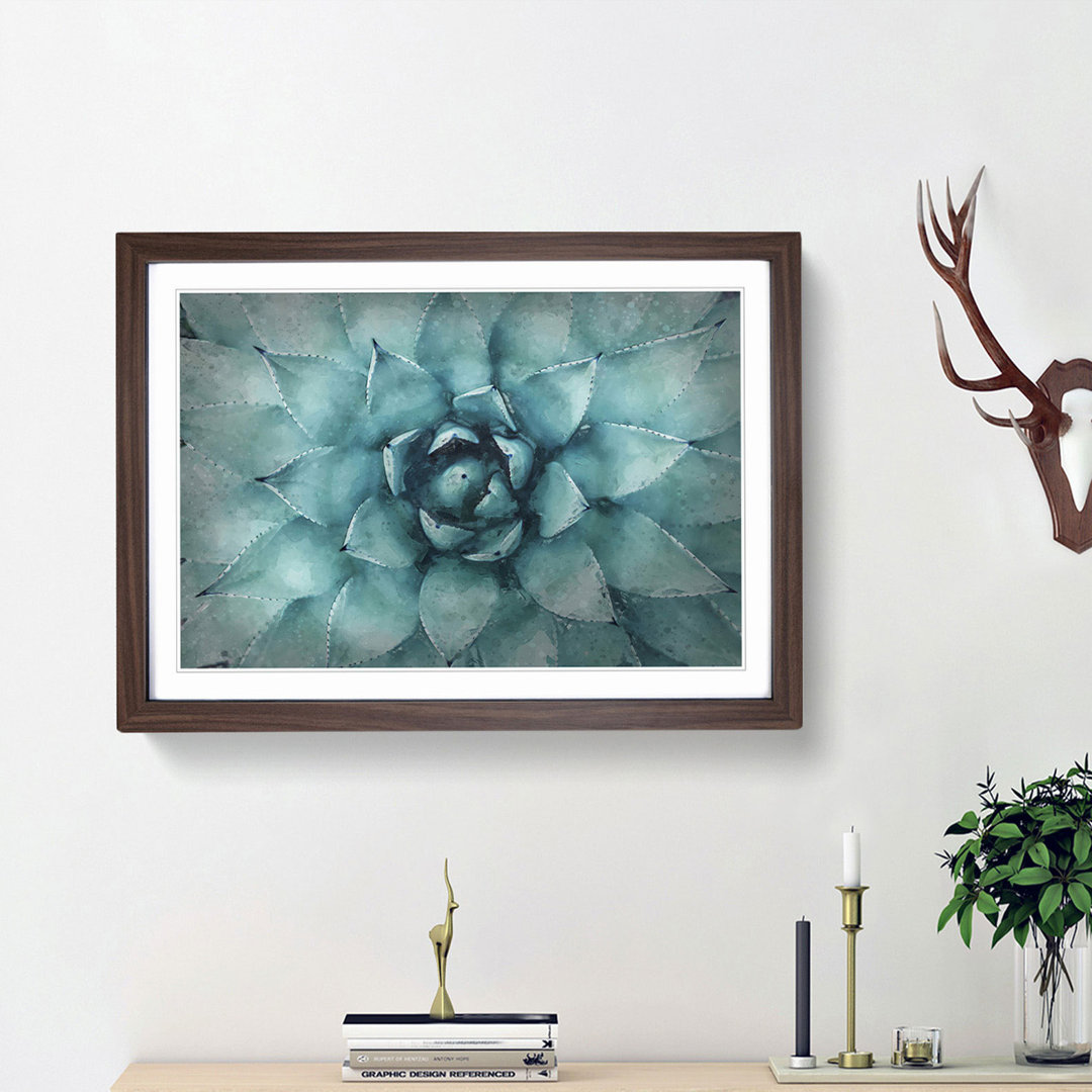 Centre of a Green Succulent Plant - Picture Frame Graphic Art Print