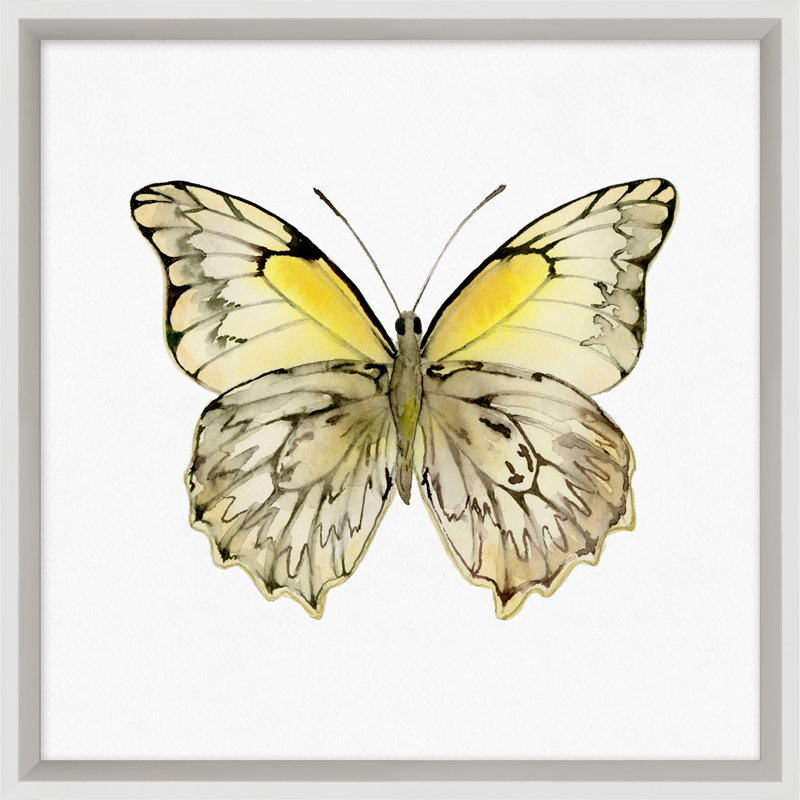 Butterfly Study 6' Framed Graphic Art Print on Glass