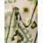 Jalapa Marlenia Indoor/Outdoor Area Rug-1755808854