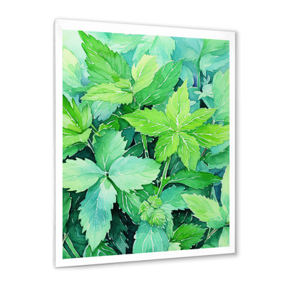 Herbes, menthe, fraîcheur 4 - Art floral
