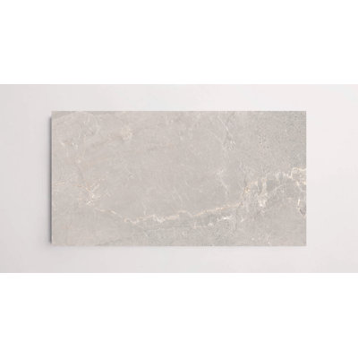 ALC 24" x 48" Matte