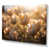 Wrapped Canvas