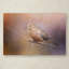 «Mourning Dove on a Winter Evening», reproduction d'art graphique sur toile tendue Vidur-22070940