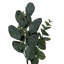 Vickerman 24" Green Eucalyptus Wreath.