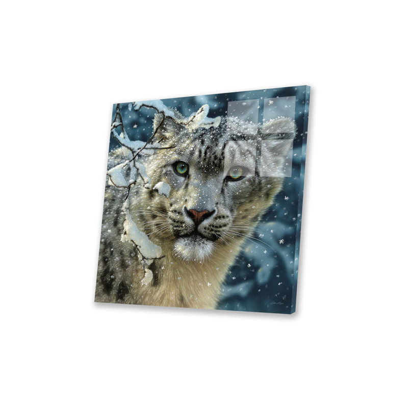 Snow leopard, carré, Pas de tapis, Unframed, H 24 po x l 24 po x P 0,25 po