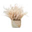 Whispy Pampas in Marble Pot