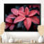 Red Red Poinsettia Raindrop Reflections I - Plants, impression d'art mural-1301574920-1301574921