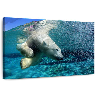 Crowle Diving Polar Bear