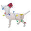 Décoration de Noël 34 po pour chien