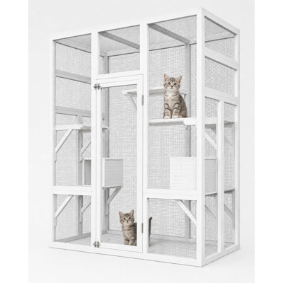 Cat House