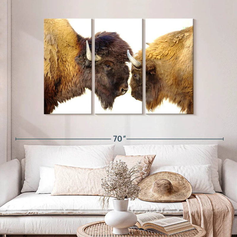 Bramison Bisons I, H 32 po x l 50 po