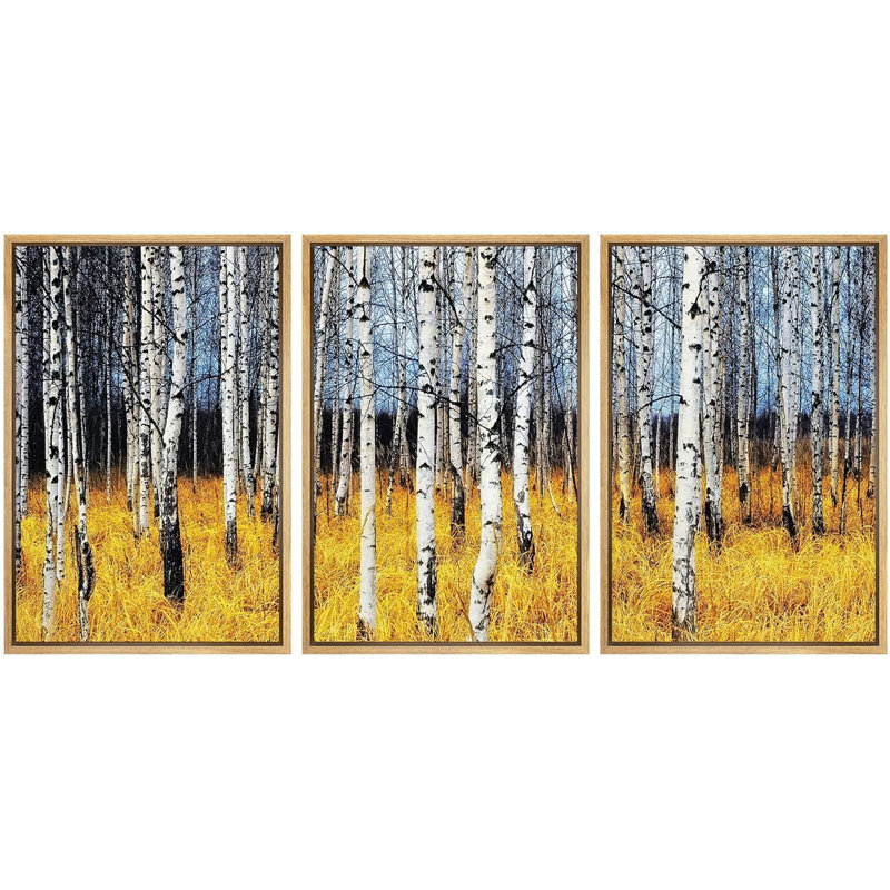 Aspen Birch Aspen arbres forêt jaune herbe champ automne nature paysage moderne 3 pièces, Cadre naturel flottant