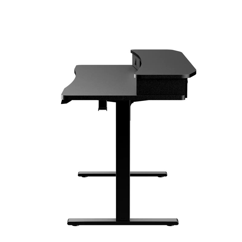 55'' W Large Electric Height Adjustable Standing Desk With Riser & 2 Drawers For Home Office, Black