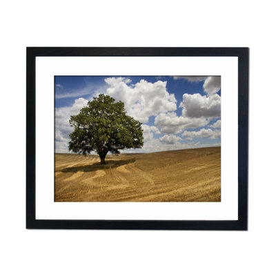Single Picture Frame Print