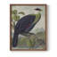 Imprimé animal vintage rétro XXXV-1768822939-1768822940
