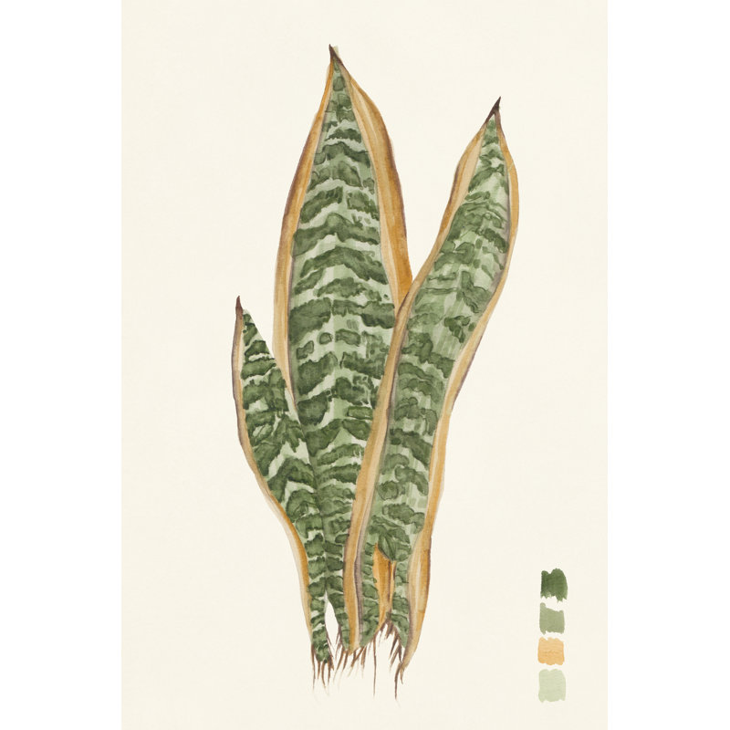 Snake Plants I 1 Piece Painting on Canvas, 91 cm H x 61 cm W, Wrapped Canvas