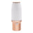 Inabat Automatic Wine Bottle Dispenser Machine