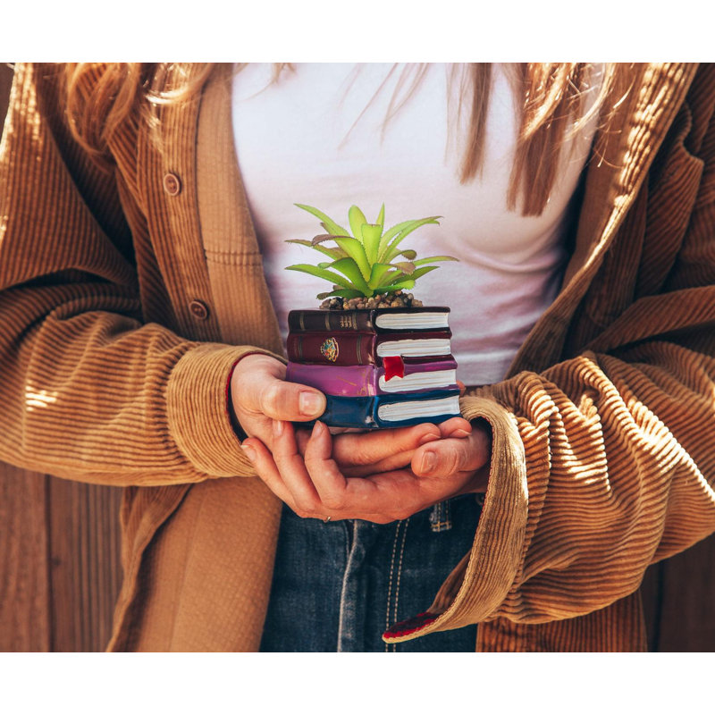 Plante grasse artificielle en pot Harry Potter