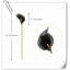 20 pièces de fleurs de lys Calla-945559911